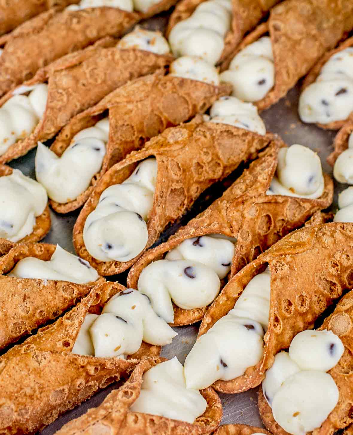 Sheet pan of 2 dozen cannoli filled with sweet ricotta filling and chocolate chips