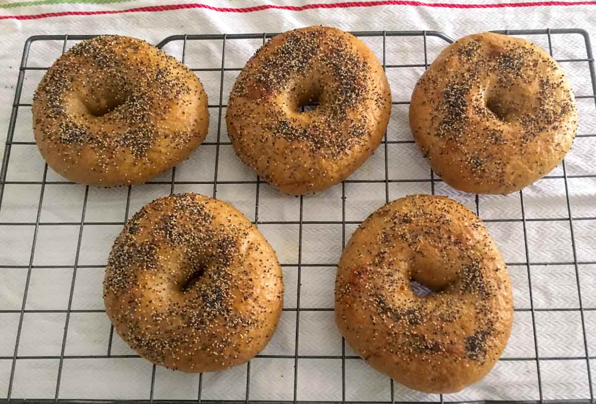 Five poppy seed homemade bagels on a wire rack on top of a white towel