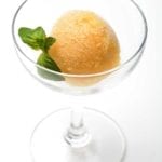 A cocktail glass with a scoop of summer tomato sorbet and a sprig of basil for garnish.