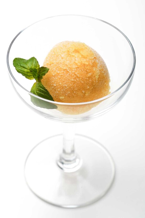 A cocktail glass with a scoop of summer tomato sorbet and a sprig of basil for garnish.