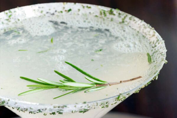 A martini glass filled with rosemary lemon drop with a sugared rosemary rim.