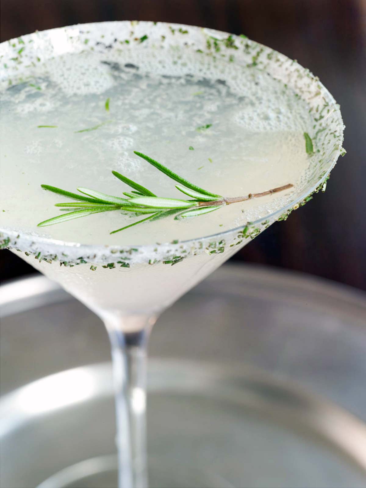 A martini glass filled with rosemary lemon drop with a sugared rosemary rim.