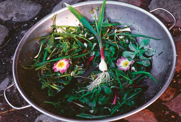 Seven greens salad sitting in a large colander, garnished with edible flowers