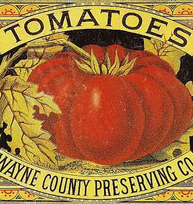 An illustration for tomato sauce