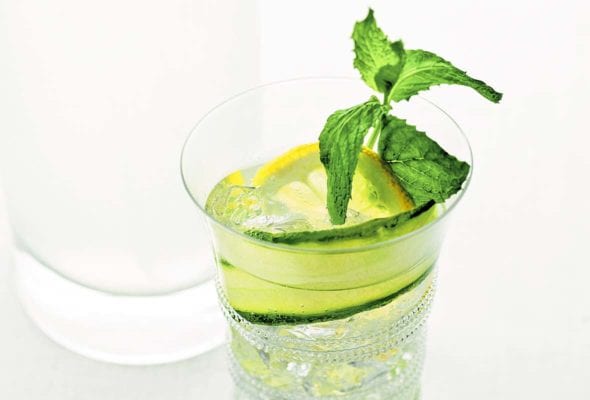 A glass of lemon cucumber cocktail with a sprig of mint, a lemon wheel, and a slice of cucumber.