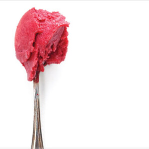 Fruit and sour beer sorbet on a spoon