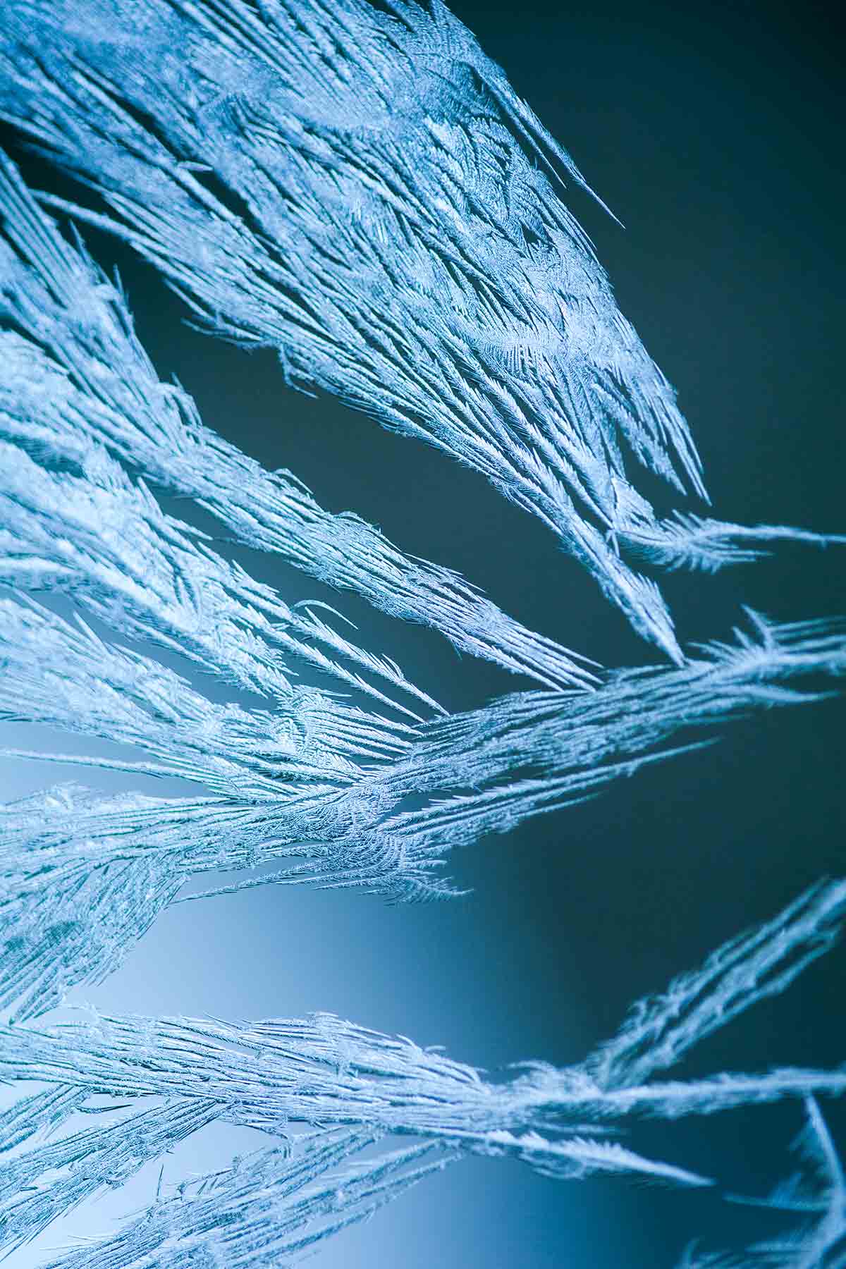 A macro close-up of frost on a window