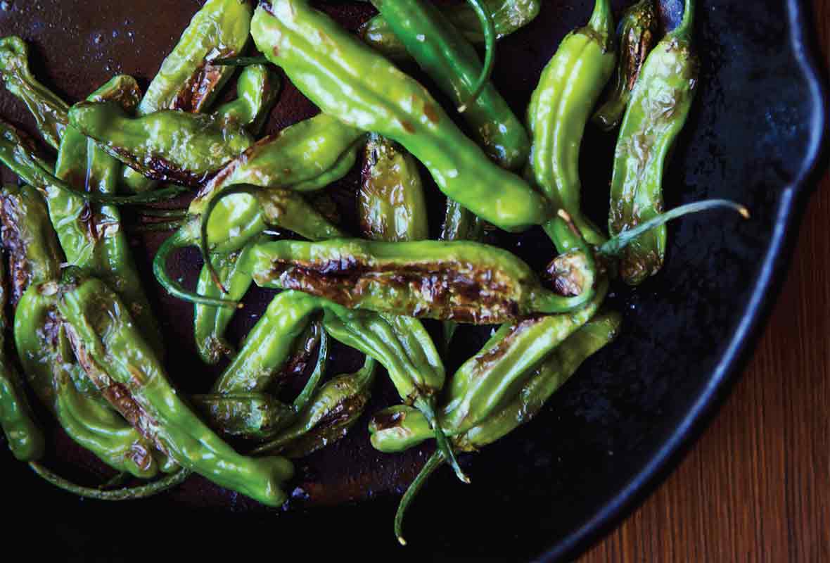 Shishito Peppers: All About Them - Chili Pepper Madness