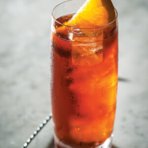 An Americano cocktail in a highball glass, garnish with a slice of orange.