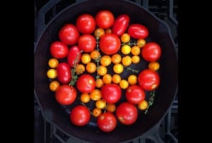A cast-iron skillet being prepared for tomato and goat cheese cobbler with an assortment of fresh tomatoes and a few sprigs of thyme.