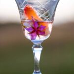 A crystal wine glass half full of campari cocktail with a couple flowers inside.