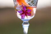 A crystal wine glass half full of campari cocktail with a couple flowers inside.