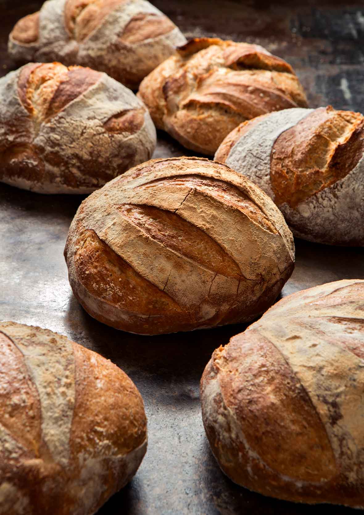 Six round loaves of no-knead artisan bread.