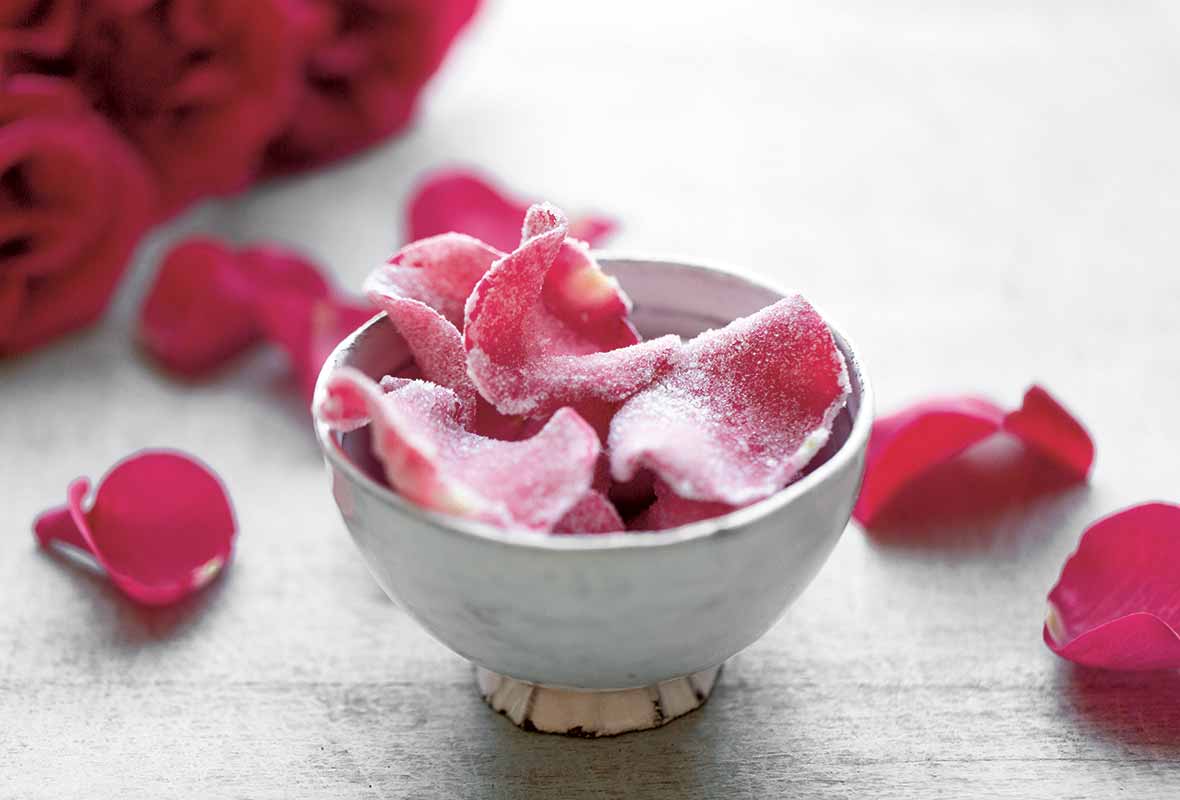 Pink roses petals in bowl with towels and pure water over white