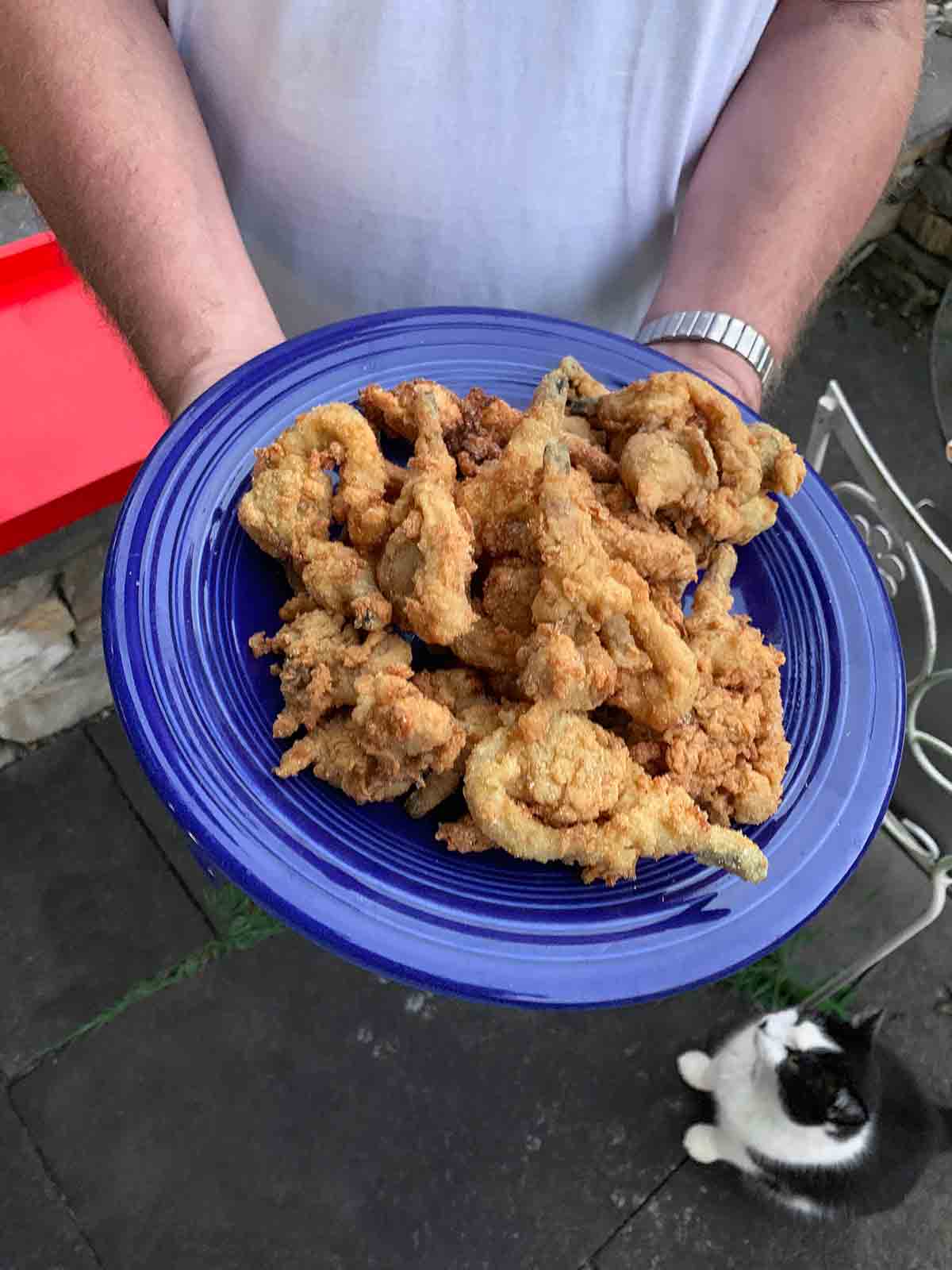 Clam Shack-Style Fried Clams