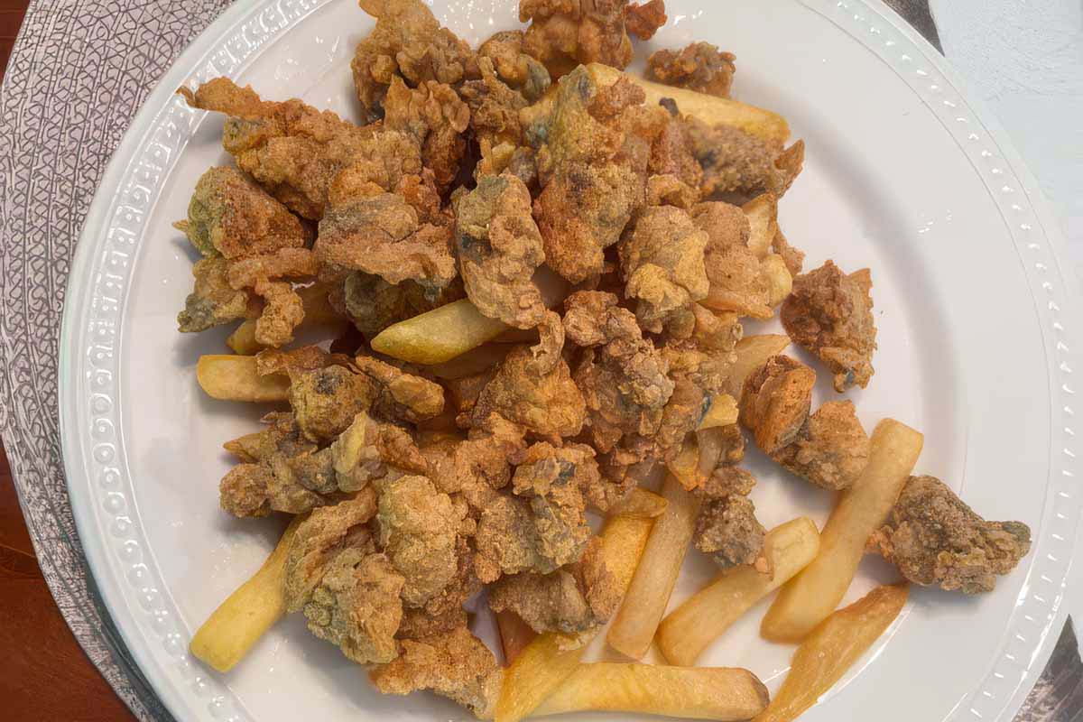 A pile of golden brown fried steamer clams and french fries on a white plate.