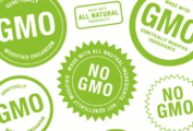 What are GMO?