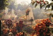 Day of the dead celebration decorations in a graveyard in Mexico.