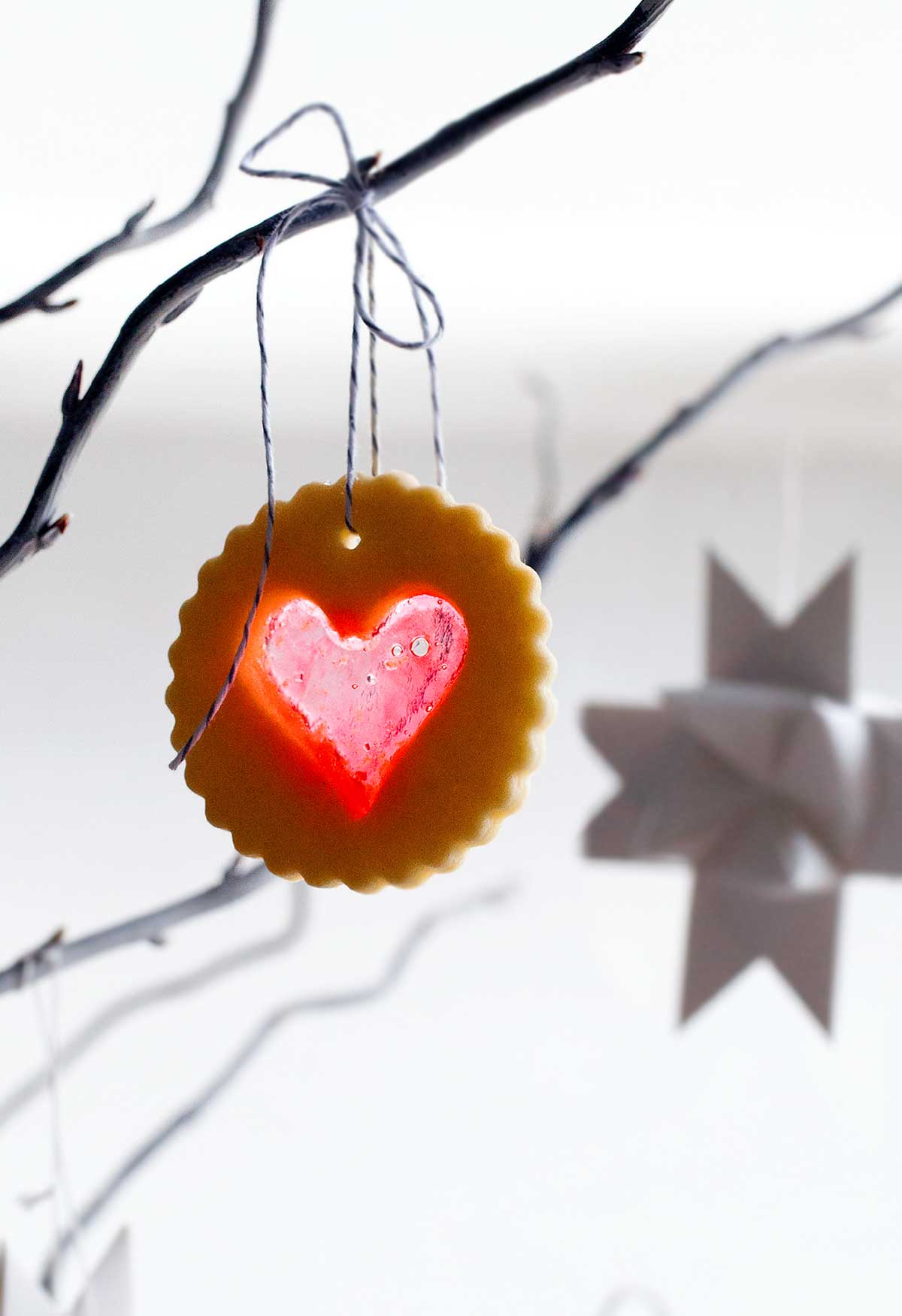 A scalloped round sugar cookie with a heart-shaped windowpane cutout hanging form a tree branch.
