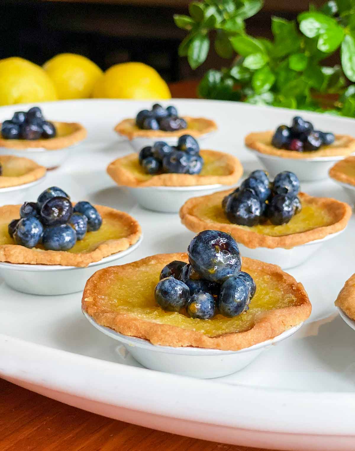 Ten mini lemon tarts with blueberries on a white platter with lemons in the background