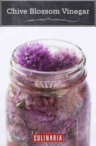 A Ball jar filled with chive blossom vinegar and the blossoms