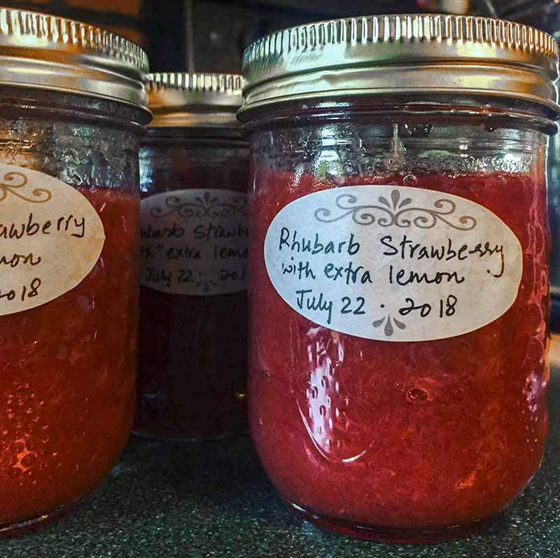 Several glass jars with labels of easy rhubarb jam on a counter