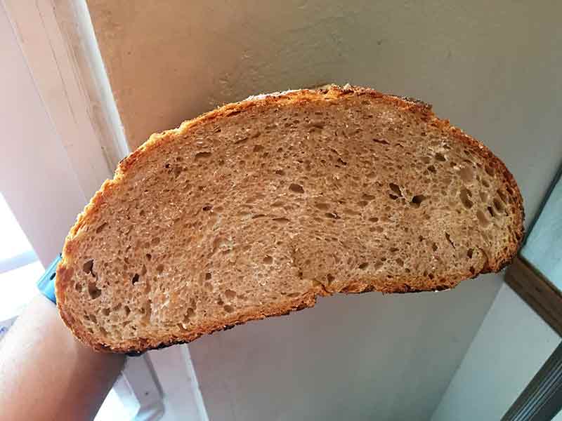 Man's hand holding a half loaf of no-knead bread
