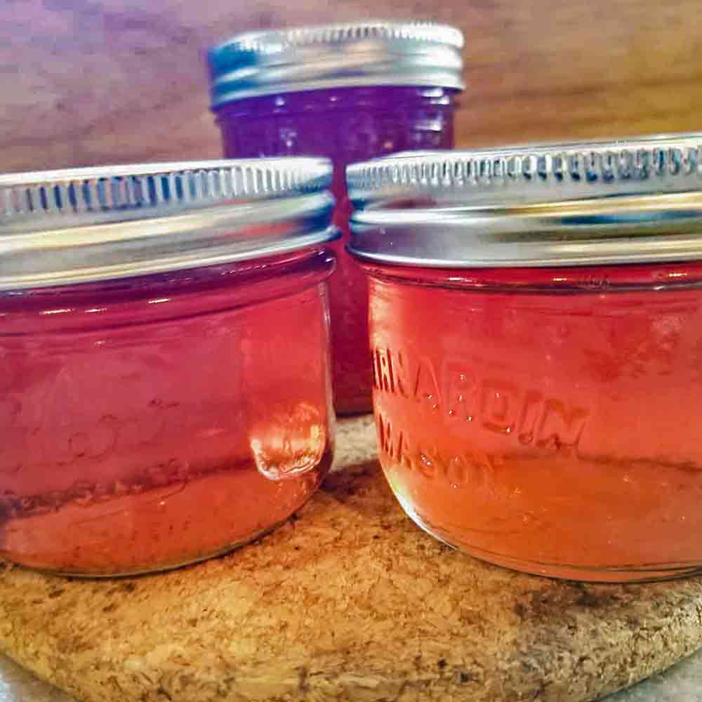 Three canning jars filled with pink honey rosemary apple jelly
