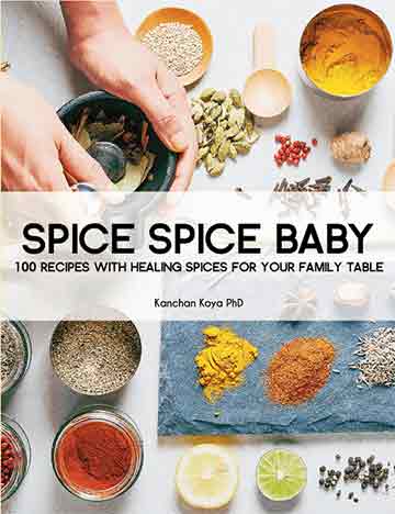 Spice Spice Baby Cookbook