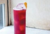 A tall, cool pink Kitty highball, filled with ice, and sporting a lemon slice