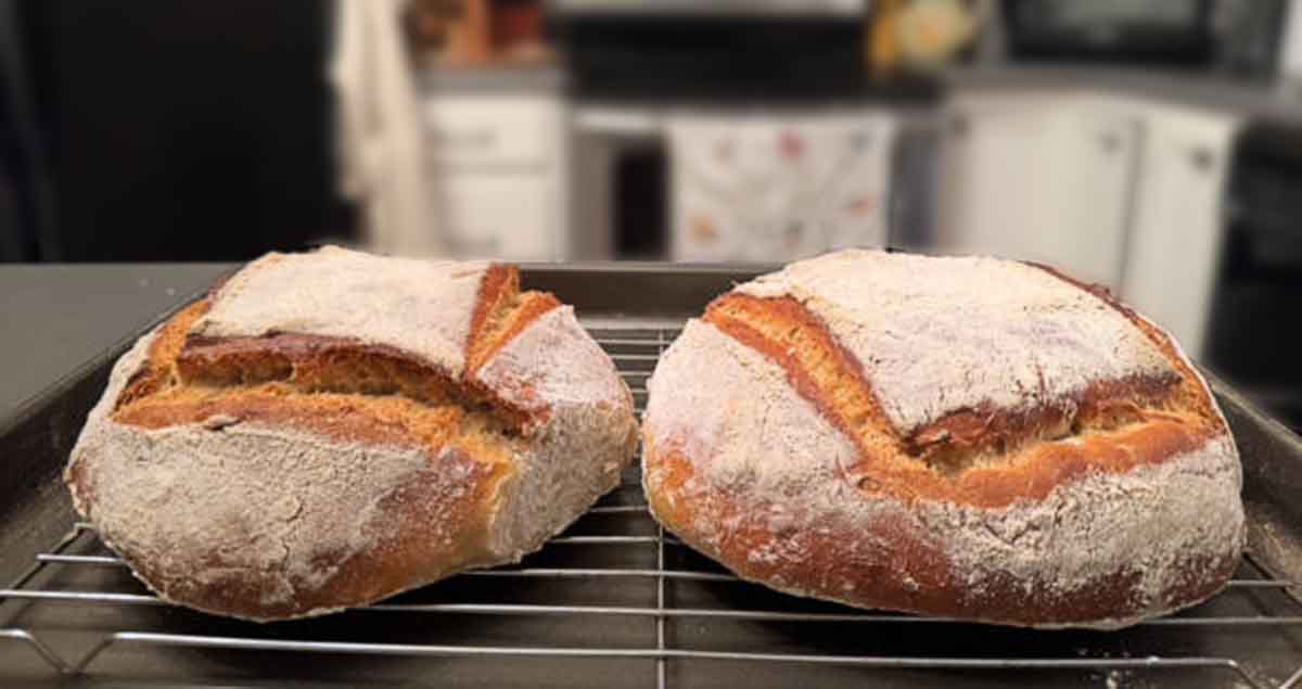 Two big lobes of five minute artisan bread, cooling on a wire rack.
