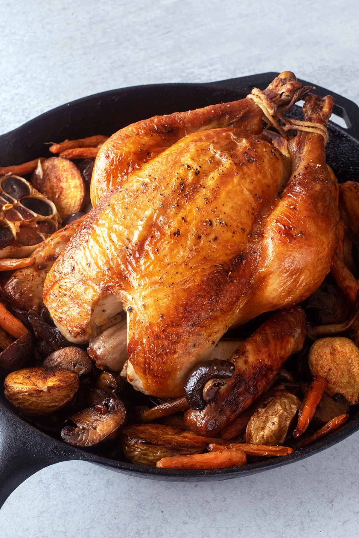 A best brined roast chicken in a cast iron Dutch oven surrounded by potatoes, mushrooms, carrots, and a halved head of garlic.