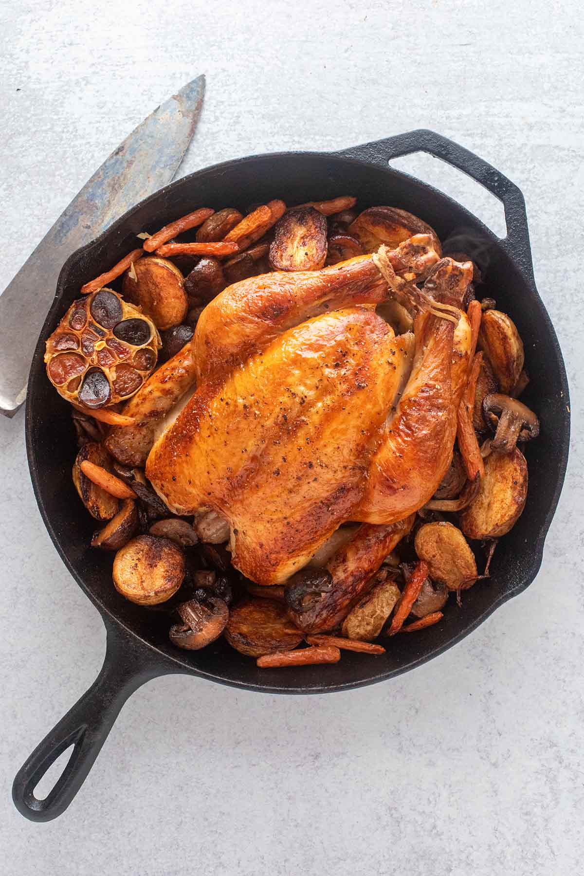 A skillet with David Leite's best brined roast chicken in a cast iron Dutch oven surrounded by potatoes, mushrooms, carrots, and a halved head of garlic.olden brown brined chicken with vegetables around it.
