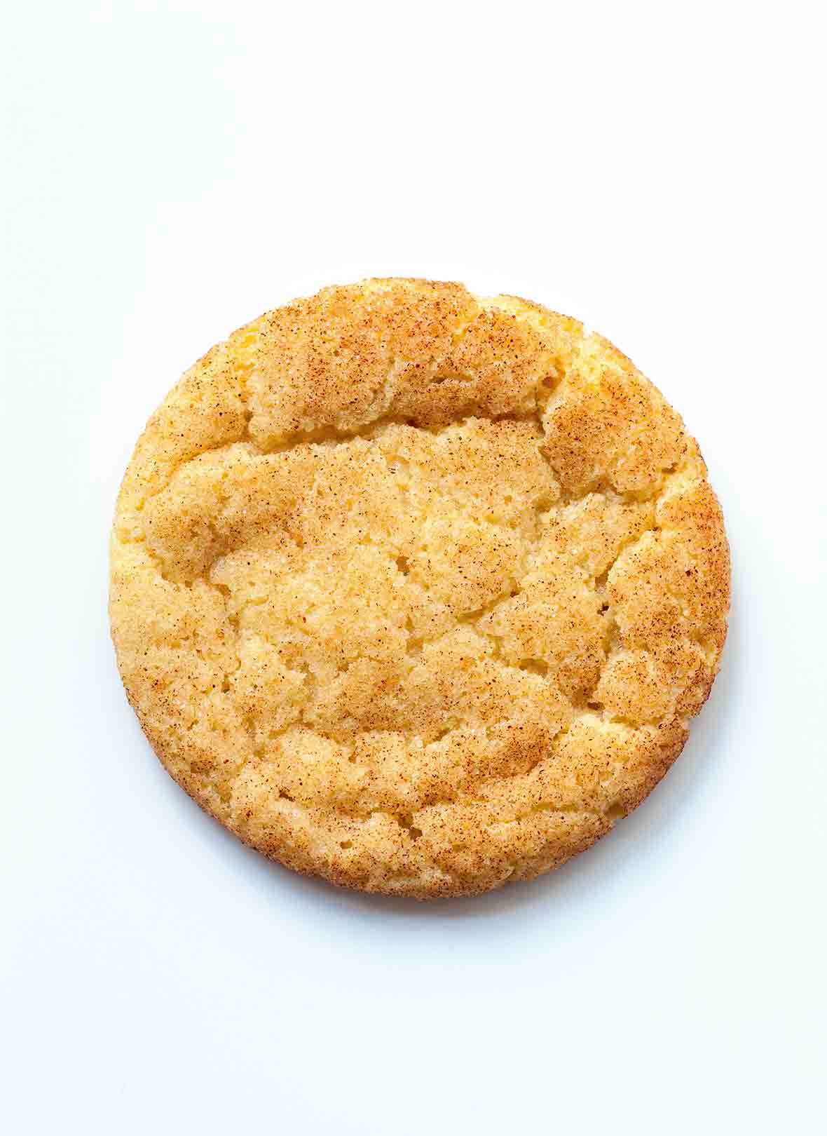An overhead view of a single, perfectly baked snickerdoodle.