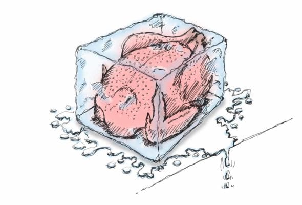 An illustration of a turkey encased in ice.