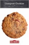 A single compost cookie from Christina Tosi.