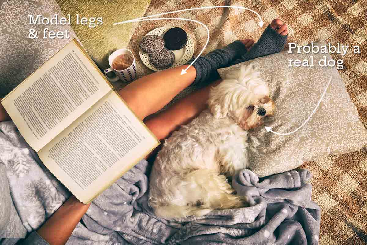 A model practicing hygge with a dog asleep on a pillow beside her, a book open on her lap, and a cup of coffee and plate of cookies beside her.