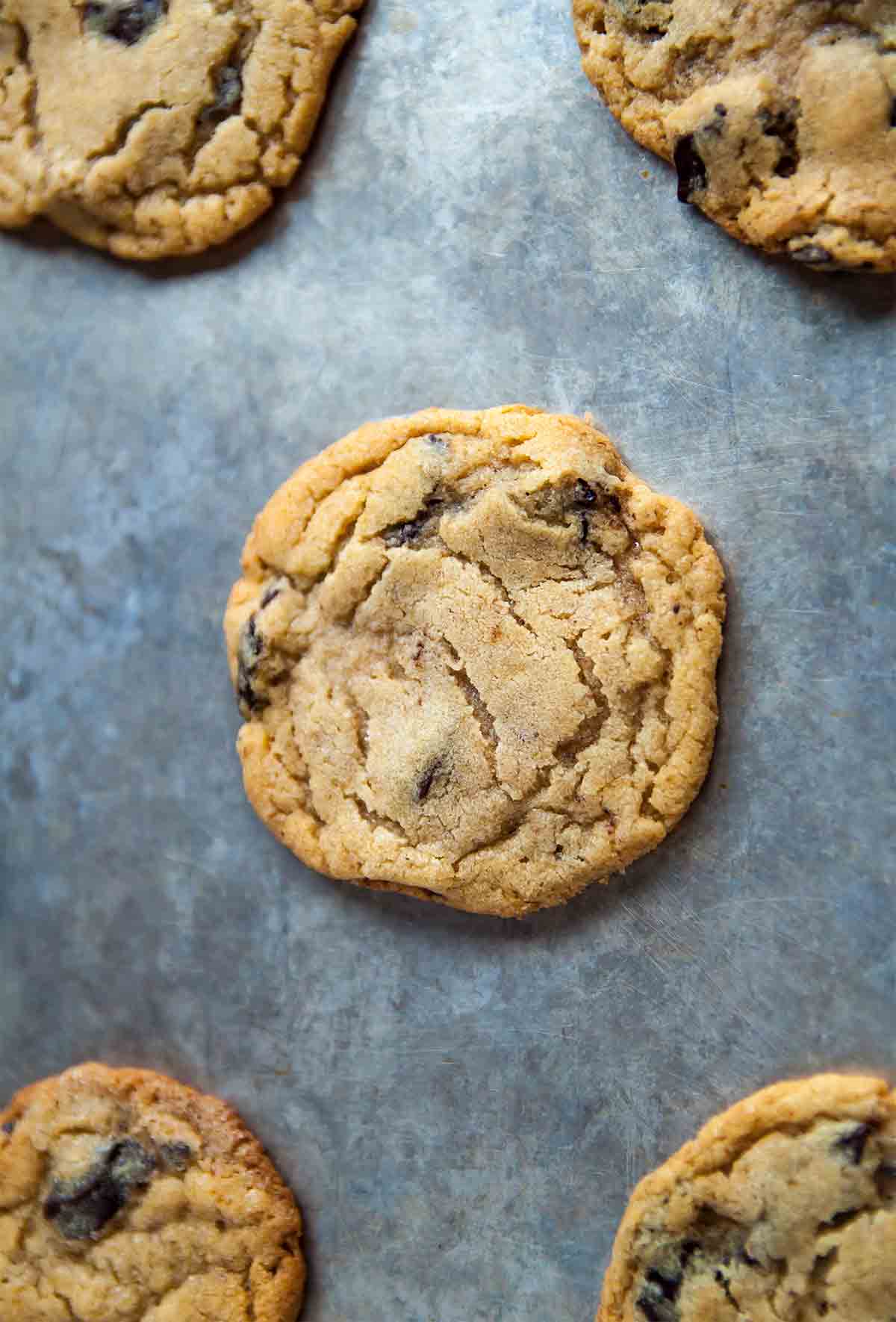 A small batch of chocolate chip cookies on a baking sheet.