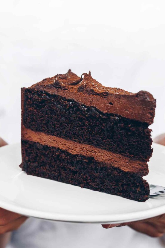 A person holding a plate with a slice of basic chocolate cake on it.
