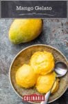 Three scoops of mango gelato in a bowl with a silver spoon and a whole mango beside it.