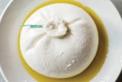 A ball of burrata for burrata with grilled bread sitting in a few tablespoons of oil in a white bowl.