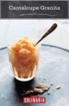 A small glass filled with cantaloupe granita and a spoon sticking out of it.
