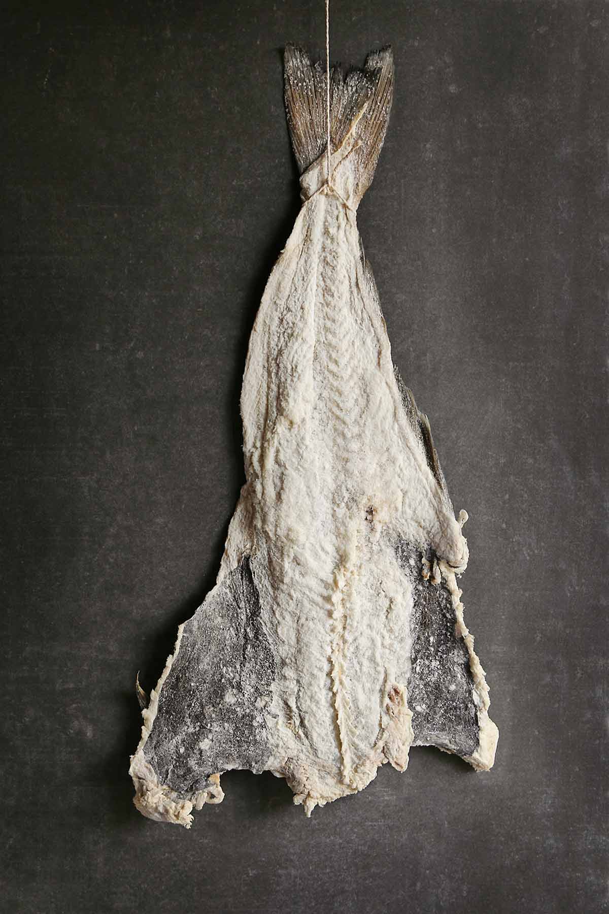 A plank of dried salt cod