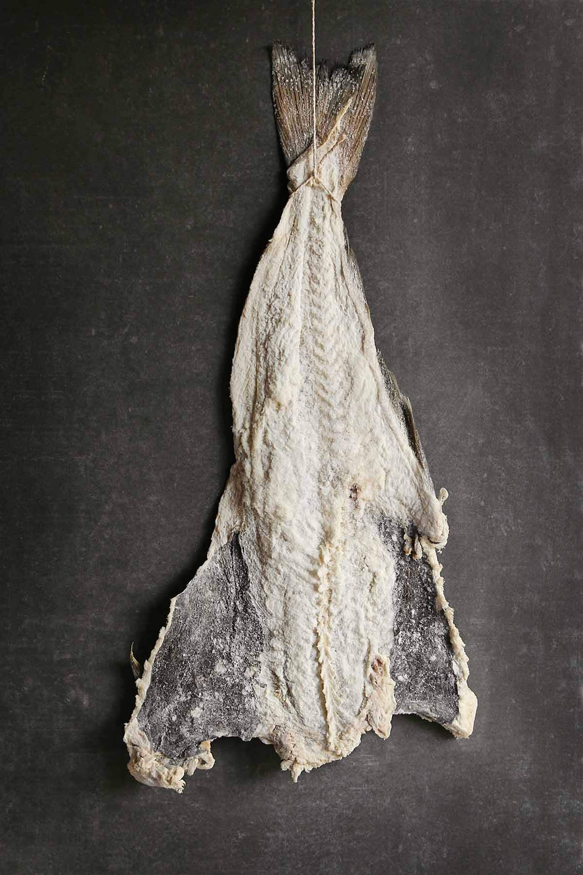 Norwegian stock fish - dried Cod — Bon Food