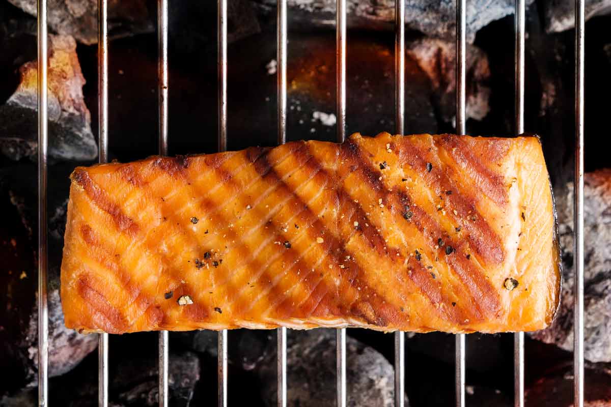 A piece of grilled salmon on an open grill to how how to grill salmon.