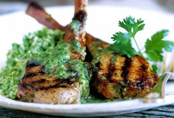 Two grilled lamb chops with cilantro-mint sauce on a white plate with a fork and a sprig of cilantro to garnish.