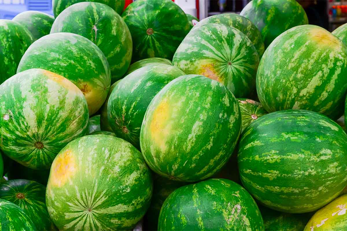 How to Tell If Watermelon is Ripe | Lotustryo  