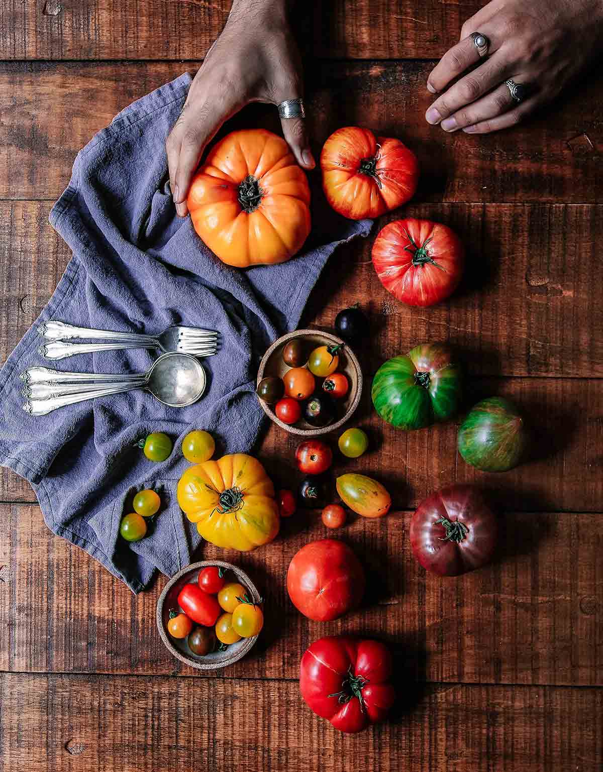 A wooden table filled with assorted tomatoes, a cloth napkin, spoons, and forks, and a person gently squeezing a tomato to check if it is perfectly ripe.