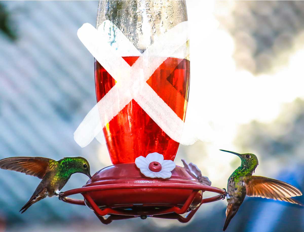 An image of 2 hummingbirds feeding from a feeder with red dye in the nectar and an 'x' through the image for the writing 'how to make hummingbird nectar'.