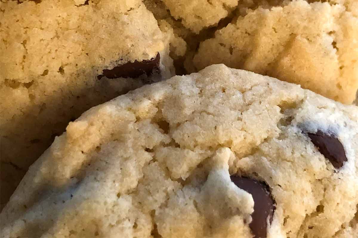 A close view of soft chocolate chip cookies.